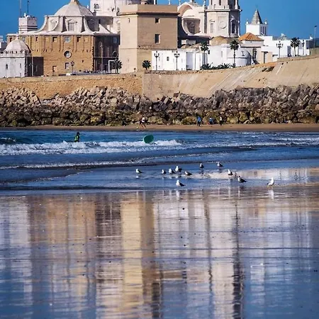 公寓 La Caleta De Wifi *